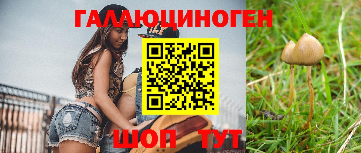 Галлюциногенные грибы Magic Shrooms  Галлюциногенные грибы Psilocybe  Вход с VPN  Когалым 